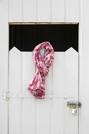 photo d'un foulard avec le motif merlus