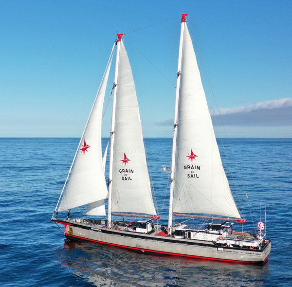 grain de sail